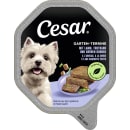 Cesar Hund Terrine Lamm, Truthahn & Bohnen