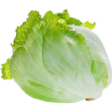 M Eissalat