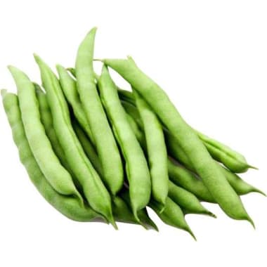 M Bohnen