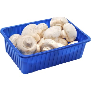Champignons
