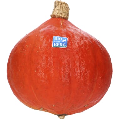 BIO vom BERG Bio Kürbis Hokkaido ca. 1 Stück