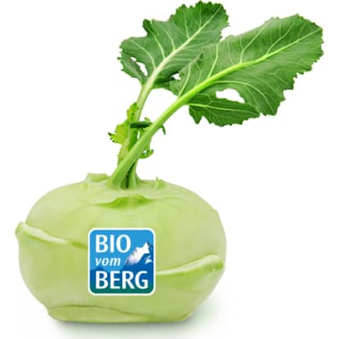 BIO vom BERG Bio Kohlrabi