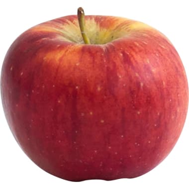 Gala Apfel