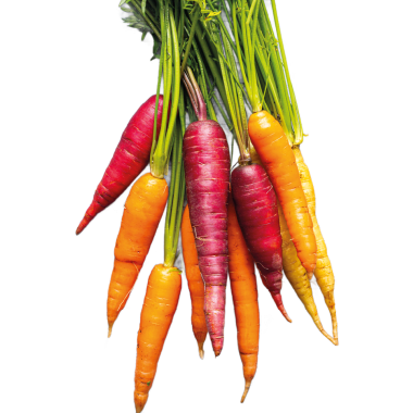 M-BIO BIO Bunte Karotten