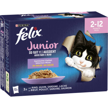 Purina Felix Junior Gemischte Vielfalt in Gelee