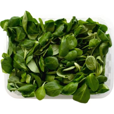 M Vogerlsalat