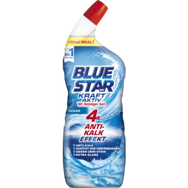 Blue Star WC Power Gel Ocean