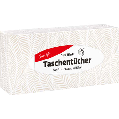 Jeden Tag Taschentücher Box 100er-Packung 4-lagig
