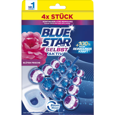 Blue Star Blau Blüten 4er-Packung