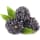 Brombeeren