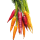 BIO Bunte Karotten