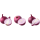 BIO Zwiebel rot