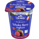 BB Frujoghurt Schoko-Berry 