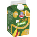 Bifidus Drink Mango Orange