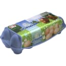 Eier Freilandhaltung XL 10er-Packung