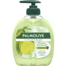 Palmolive Seife Hygiene Kichen Pumpe