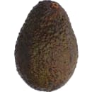 Hass Avocado