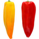 Paprika Spitz rot oder gelb