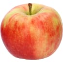 Elstar Apfel