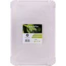 Pappteller Frischfaser