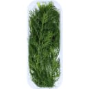 Dill Tasse