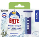 Frische Siegel Eucalyptus