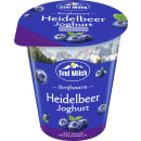 Joghurt Heidelbeer