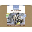 Bio Black Tiger Garnelen