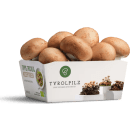 Bio Steinchampignons