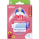 Frische Siegel Blüten Oase Nachfüller 2er-Packung