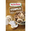 Steinpilze getrocknet