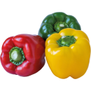 Paprika Tricolore