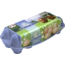 Eier Freilandhaltung L 10er-Packung