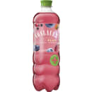 Balance Rote Früchte 0,75 Liter