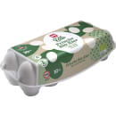 Bio-Eier 10er