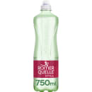 Sports Still 0,75 Liter