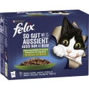 Felix Gemüse in Gelee