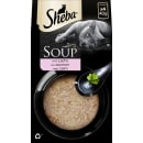 Katze Soup Lachs