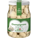 Champignons würzig & fein