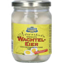 Wachteleier Freiland