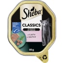 Classics in Pastete mit Lachs