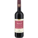 Bio Merlot Terre di Chieti
