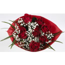 Rosen mit Schleierkraut