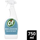 Reiniger Bad & Dusche