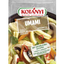 Umami Würzmittel
