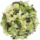 Salatmix der Saison
