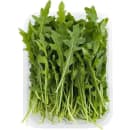 Rucola