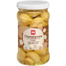 Champignons Köpfe