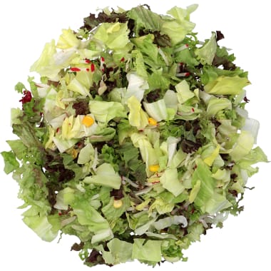 Giner Salatmix der Saison