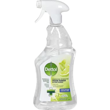 Dettol Desinfektions-Reiniger